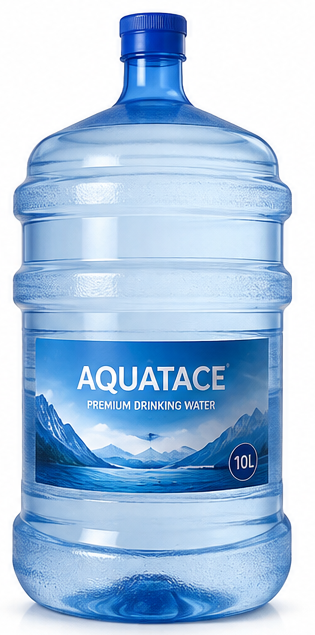 10L