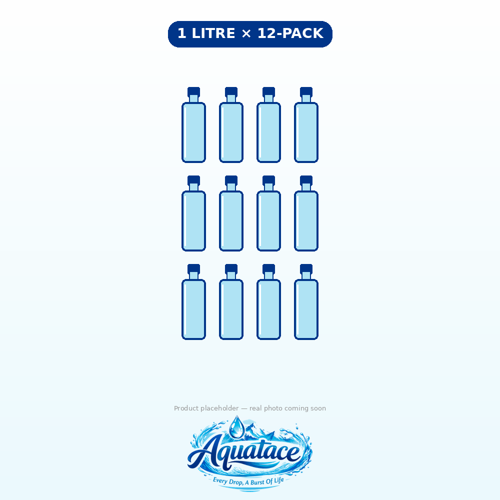 1L x12