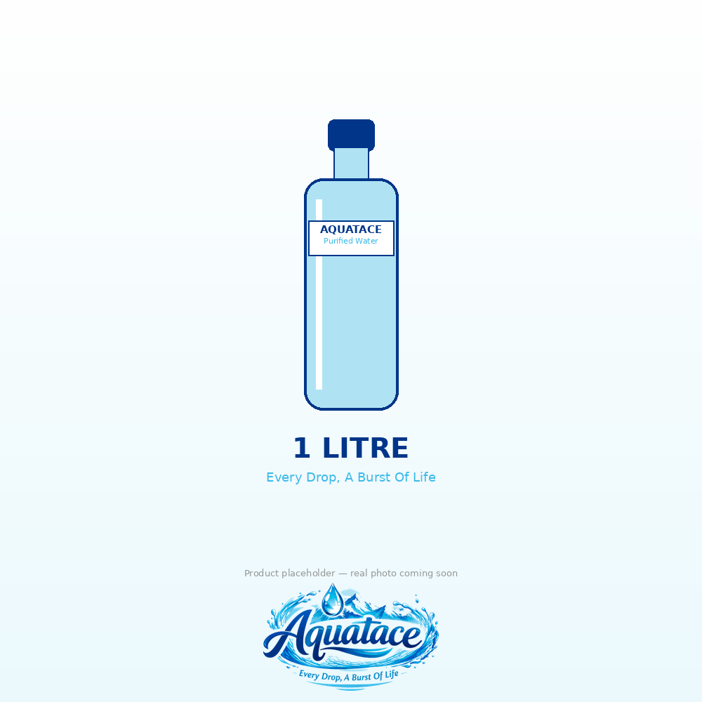 1L